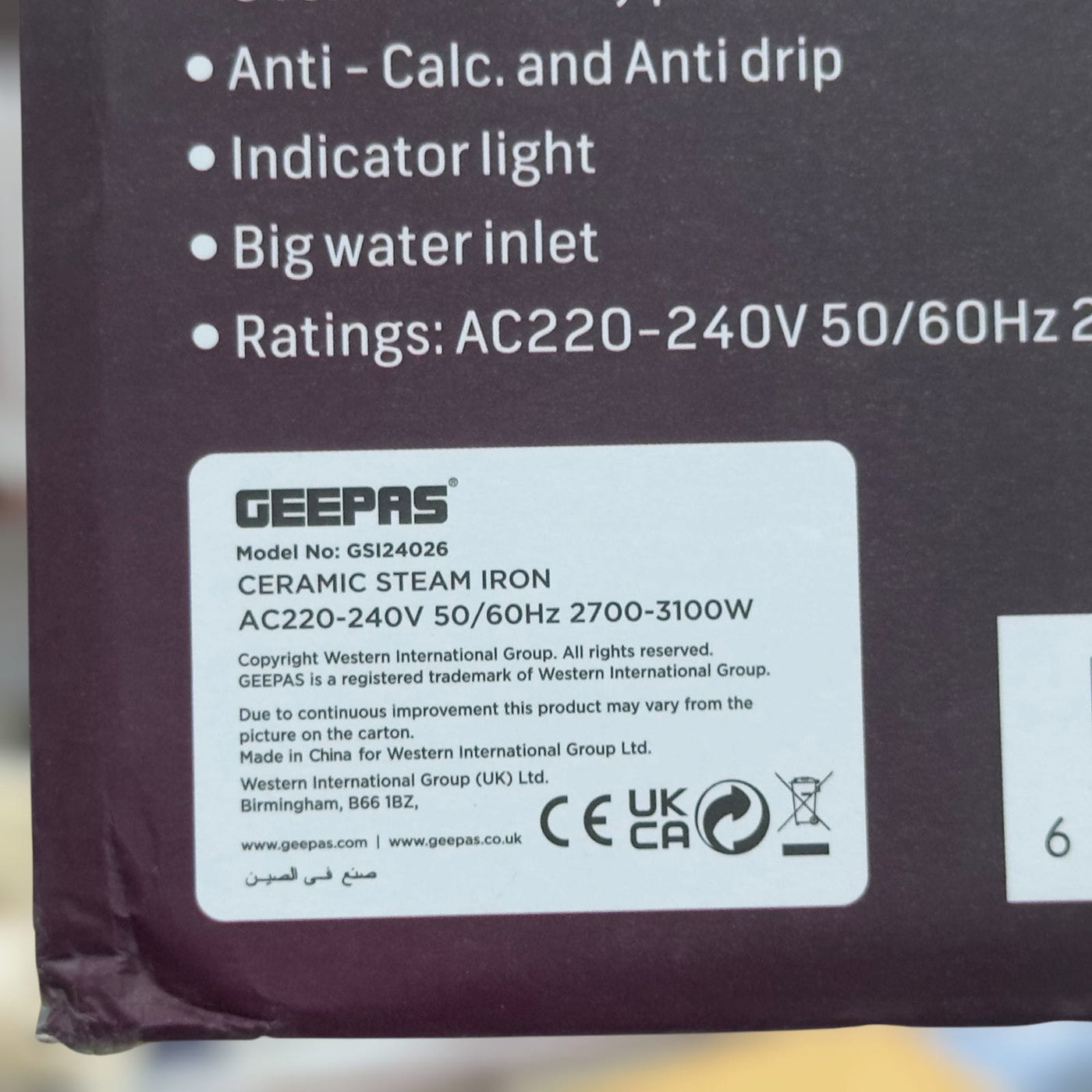 GEEPAS 3100W Ceramic Steam Iron-24026