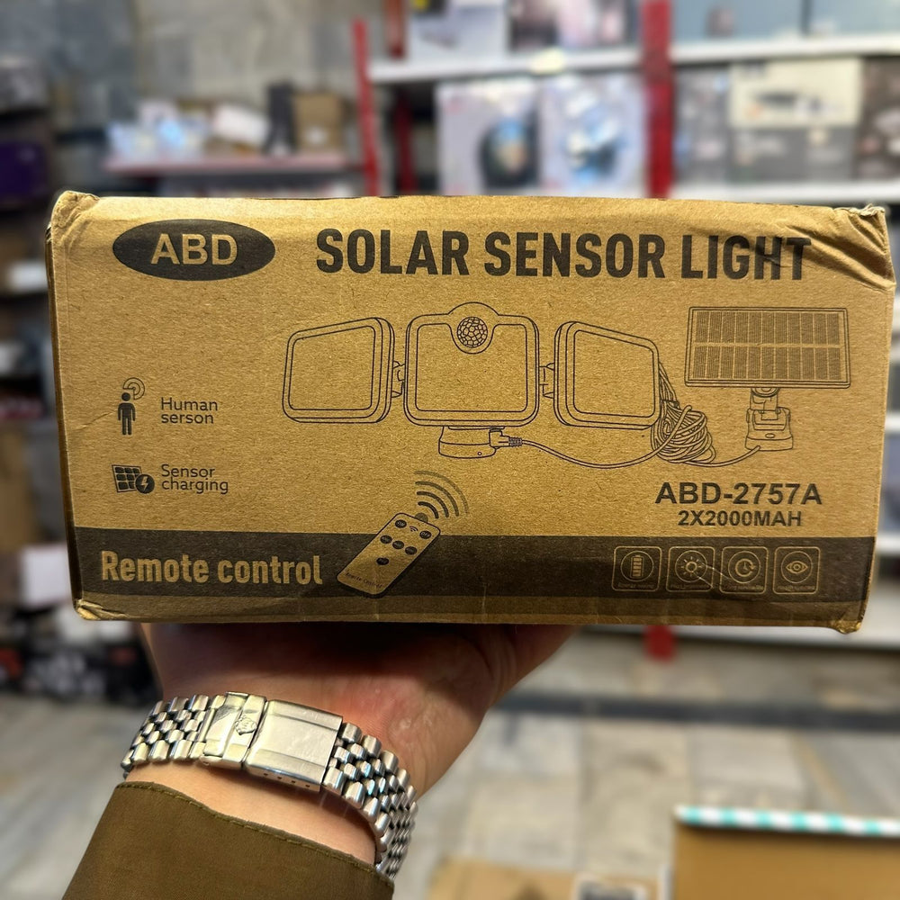 Lott Imported 3D Solar Sensor Light